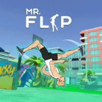 mr flip